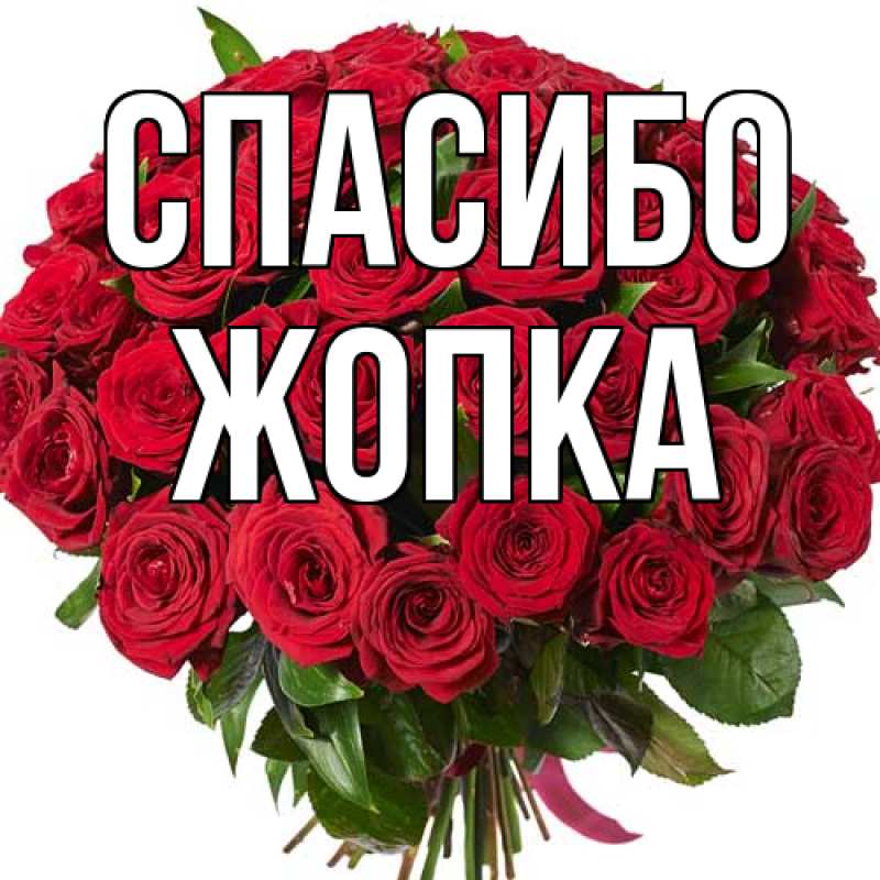 Картинка Спасибо, Жопка