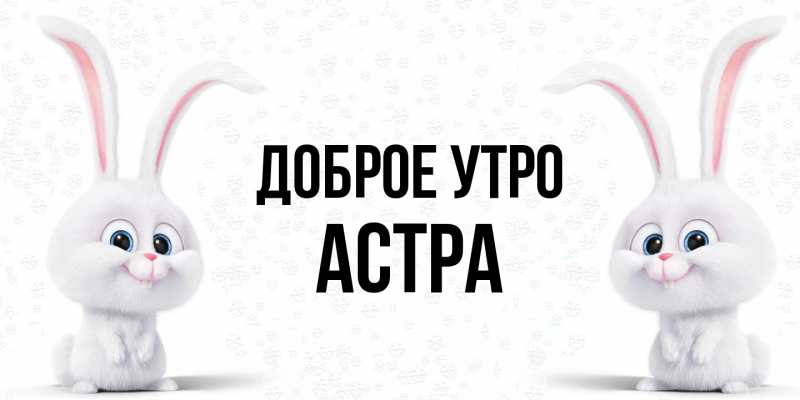 Картинка Доброе утро, Астра