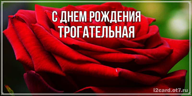 Картинка С днем рождения, Тpогательная