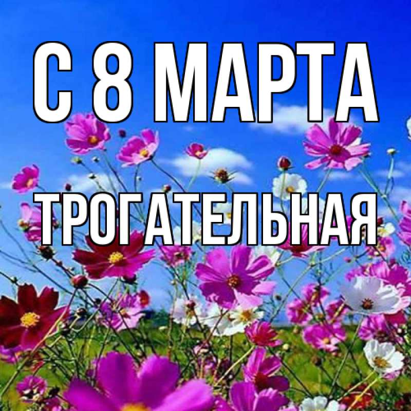 Картинка C 8 МАРТА, Тpогательная