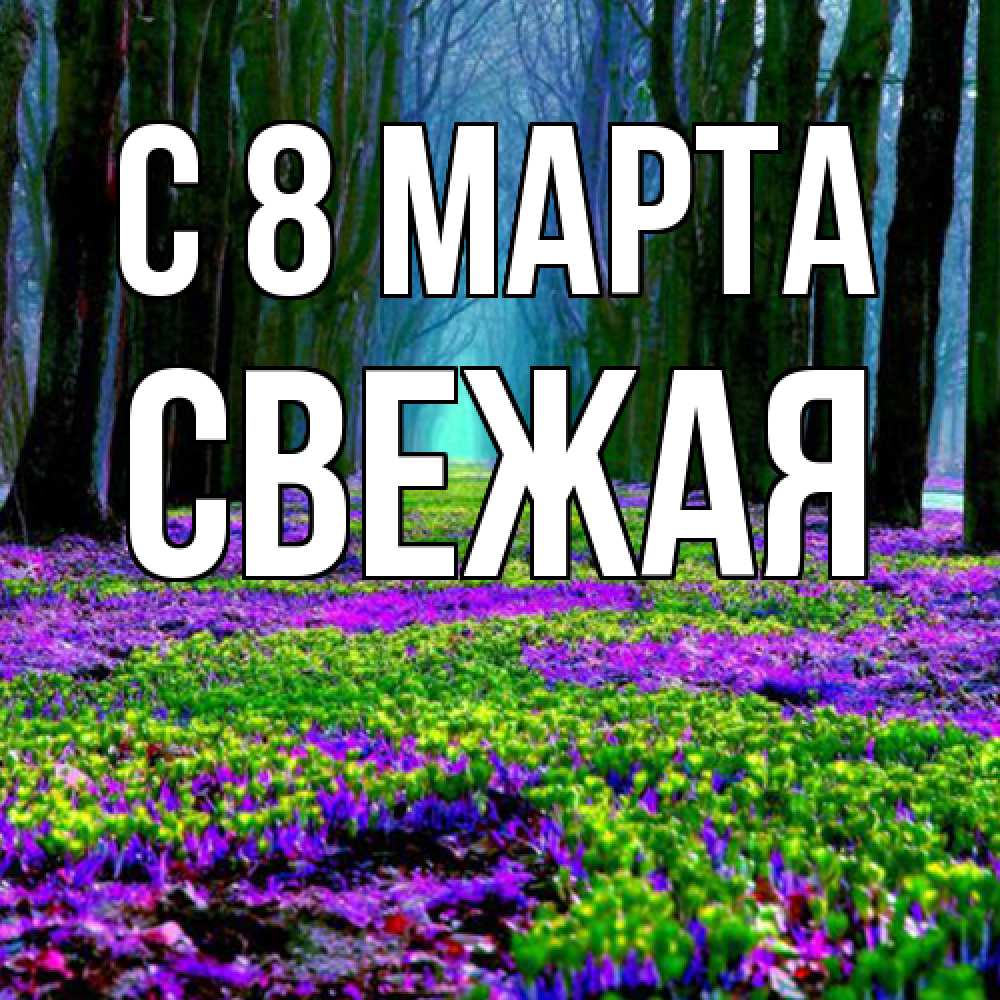 Открытка на каждый день с именем, Свежая C 8 МАРТА фиолетовые цветы в лесу 1 Прикольная открытка с пожеланием онлайн скачать бесплатно 