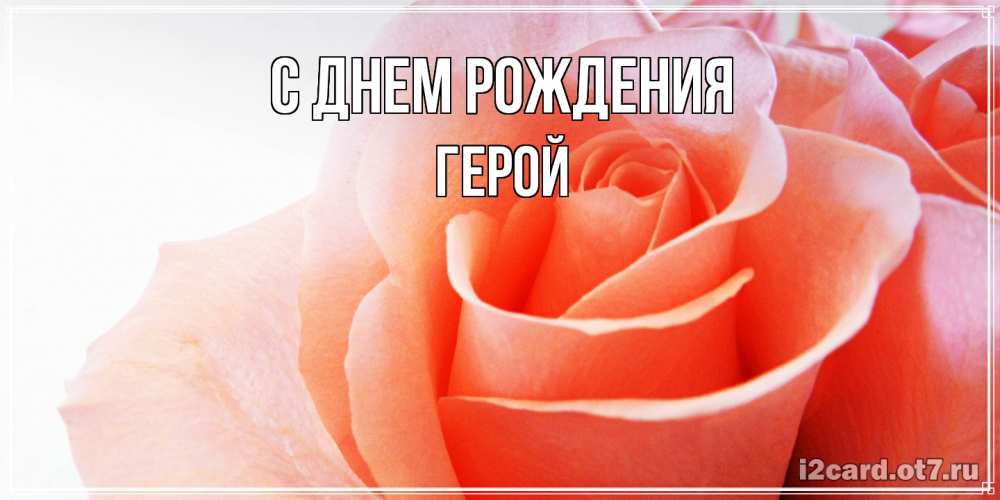 Открытка на каждый день с именем, Герой С днем рождения розы для поздравления с днем рождения Прикольная открытка с пожеланием онлайн скачать бесплатно 