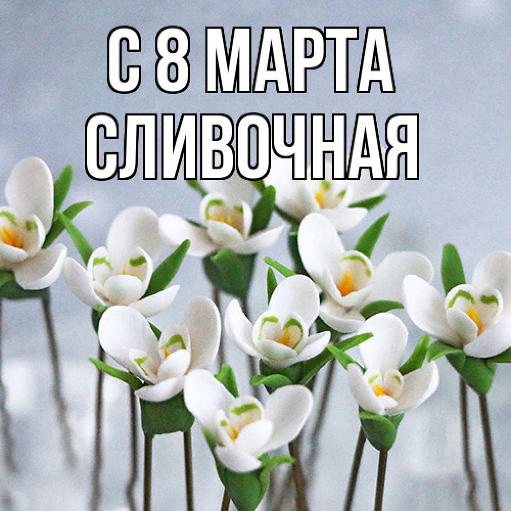Открытка на каждый день с именем, Сливочная C 8 МАРТА весенние цветы Прикольная открытка с пожеланием онлайн скачать бесплатно 