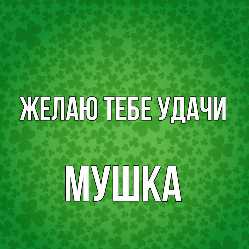 Картинка Желаю тебе удачи, мушка