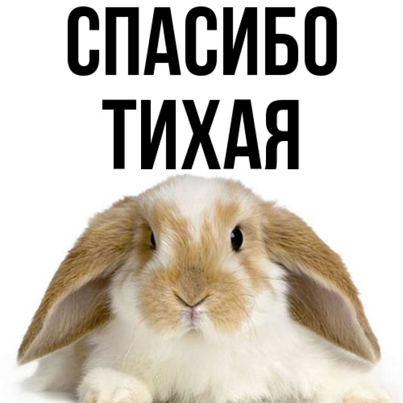 Картинка Спасибо, Тихая