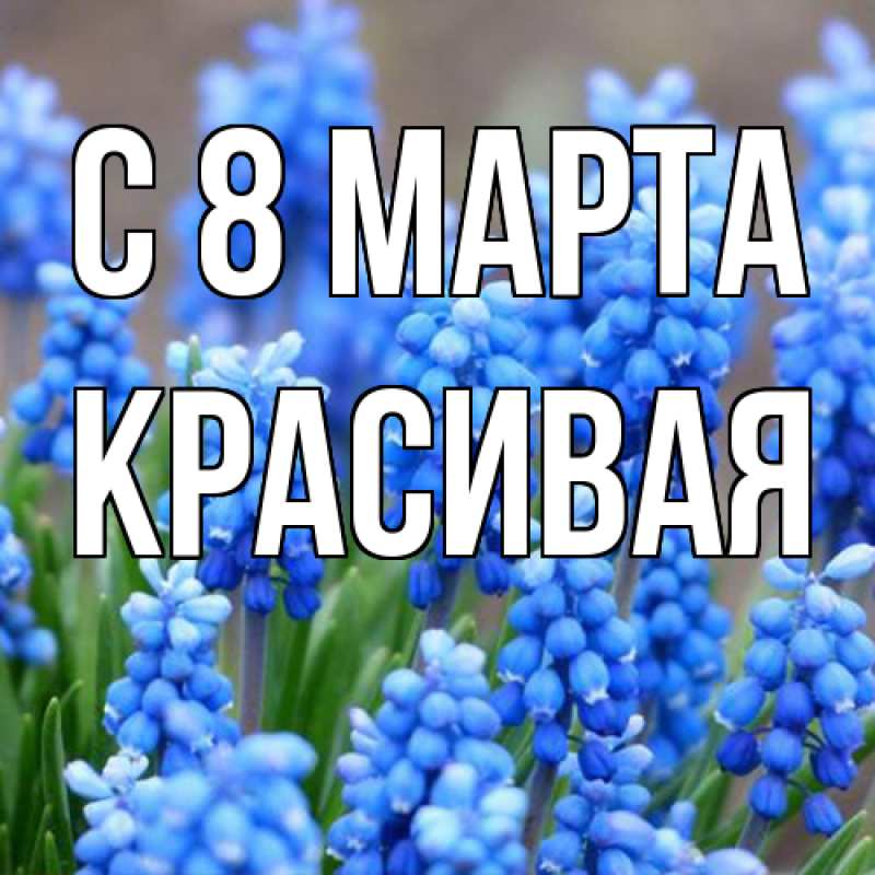 Картинка C 8 МАРТА, Красивая
