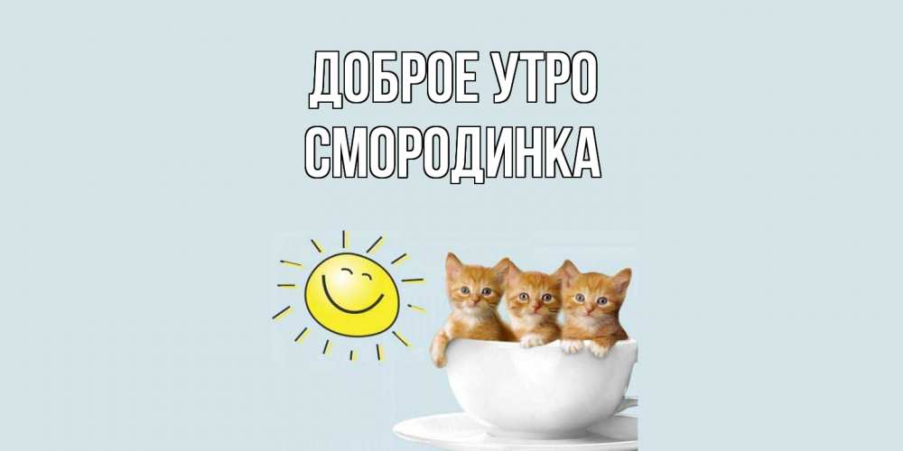 Открытка на каждый день с именем, смородинка Доброе утро котята Прикольная открытка с пожеланием онлайн скачать бесплатно 