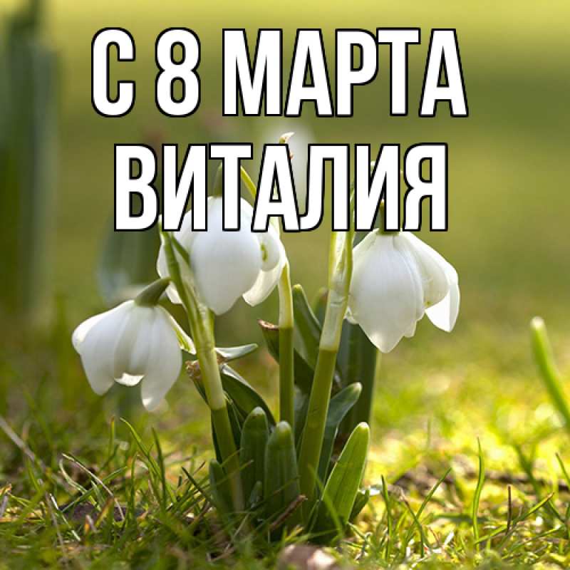 Картинка C 8 МАРТА, Виталия
