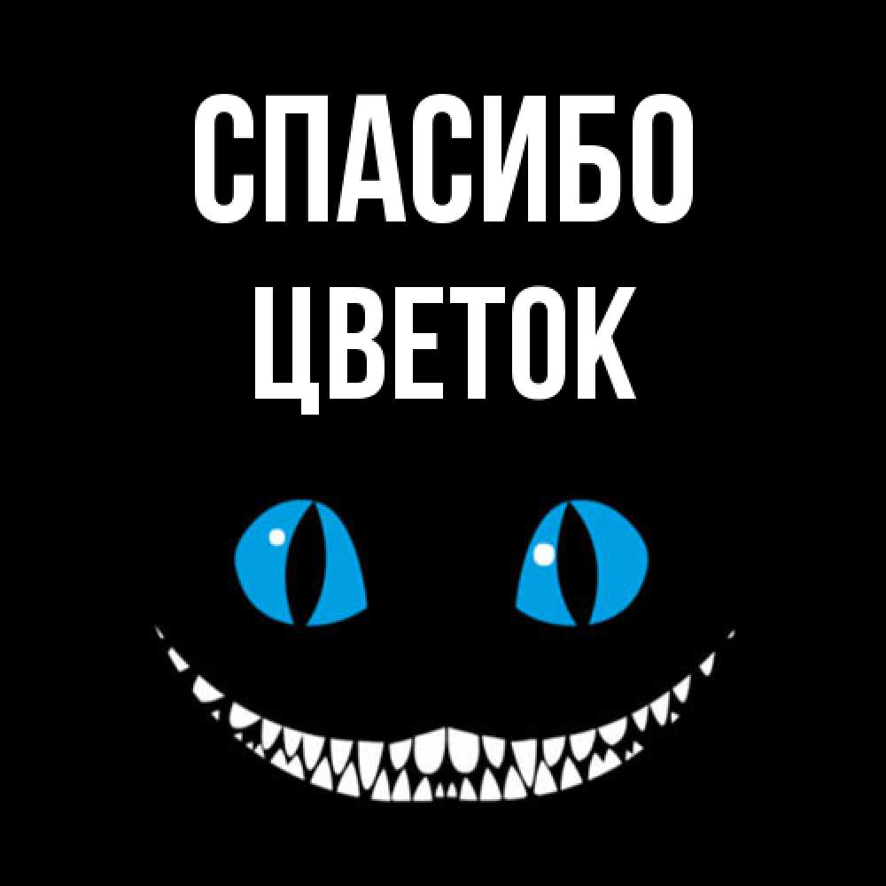 Открытка на каждый день с именем, Цветок Спасибо благодарю от чеширика Прикольная открытка с пожеланием онлайн скачать бесплатно 