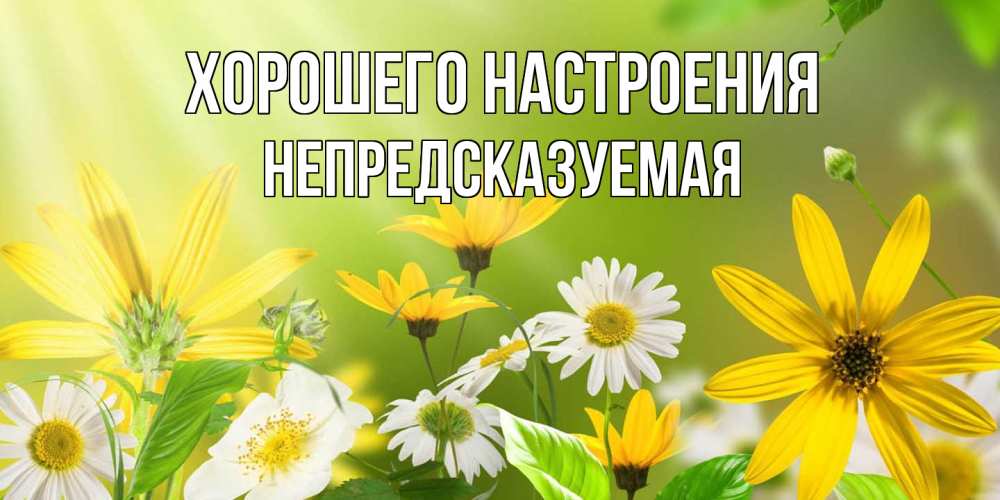 Открытка на каждый день с именем, непредсказуемая Хорошего настроения цветы Прикольная открытка с пожеланием онлайн скачать бесплатно 