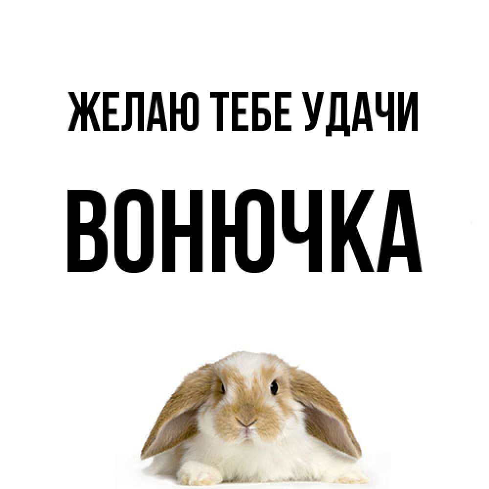 Открытка на каждый день с именем, Вонючка Желаю тебе удачи открытки с произвольным текстом который можно вставить в открытку и создать ее самостоятельно бесплатно онлайн Прикольная открытка с пожеланием онлайн скачать бесплатно 