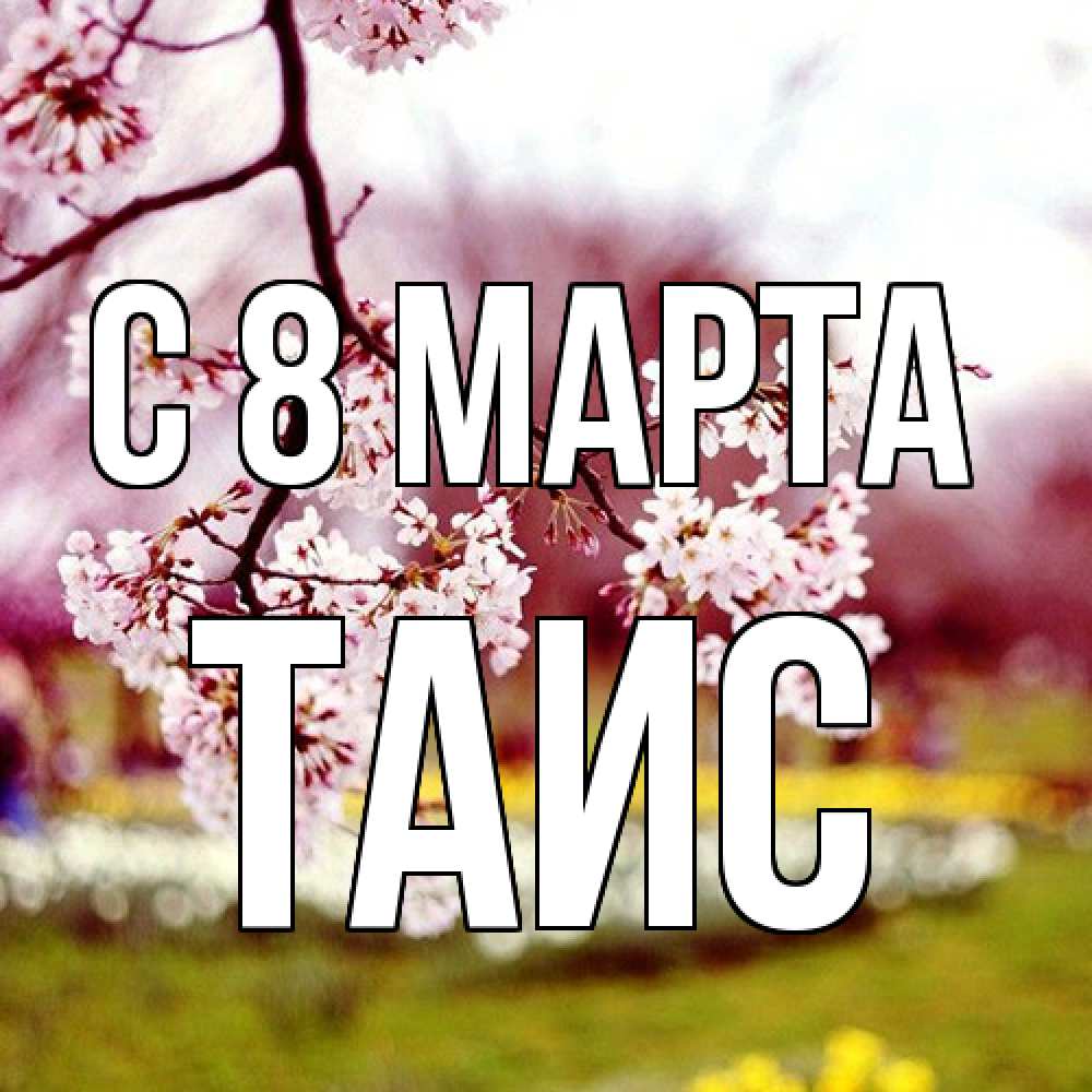 Открытка на каждый день с именем, Таис C 8 МАРТА яблоня Прикольная открытка с пожеланием онлайн скачать бесплатно 