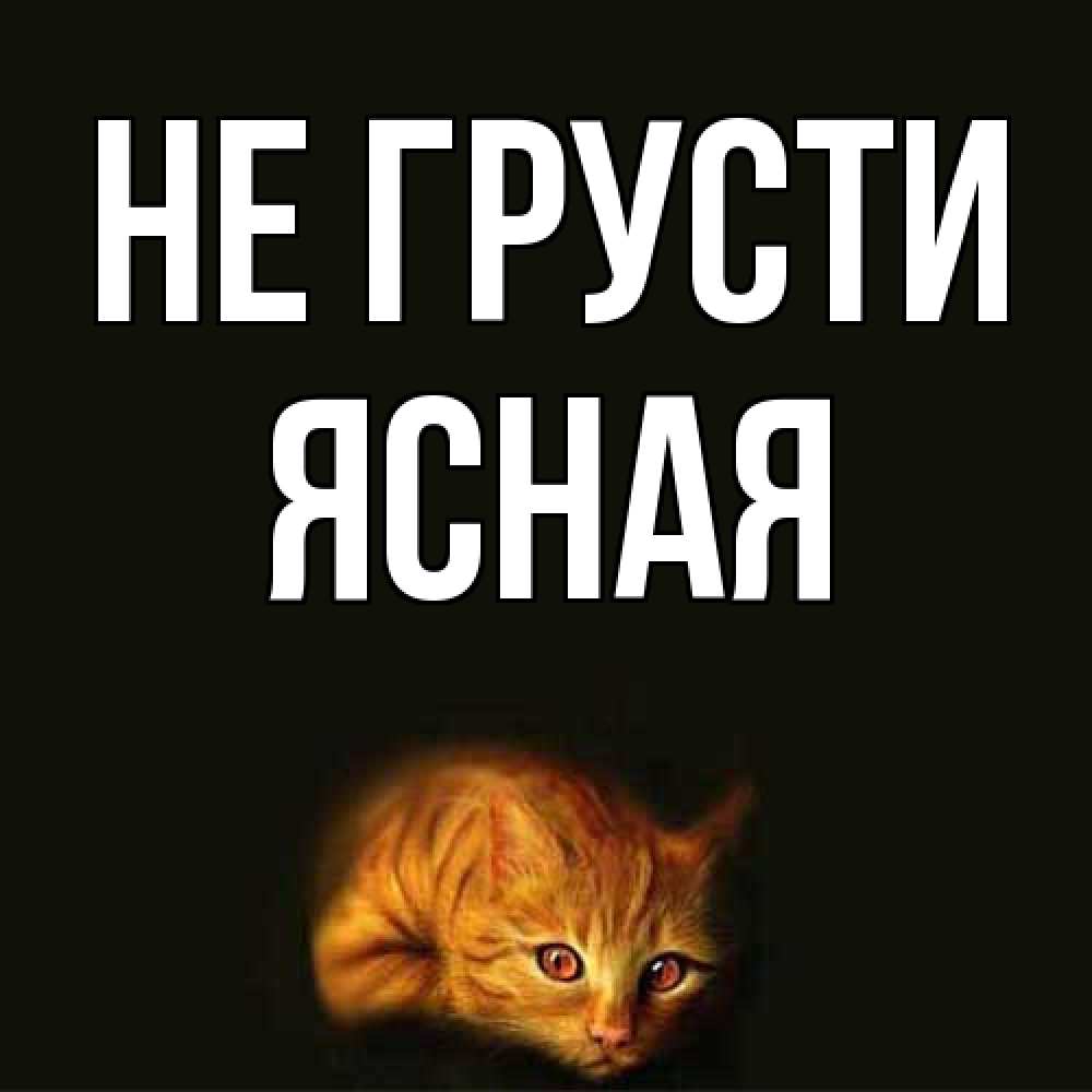 Открытка на каждый день с именем, Ясная Не грусти лежащий кот в темноте Прикольная открытка с пожеланием онлайн скачать бесплатно 