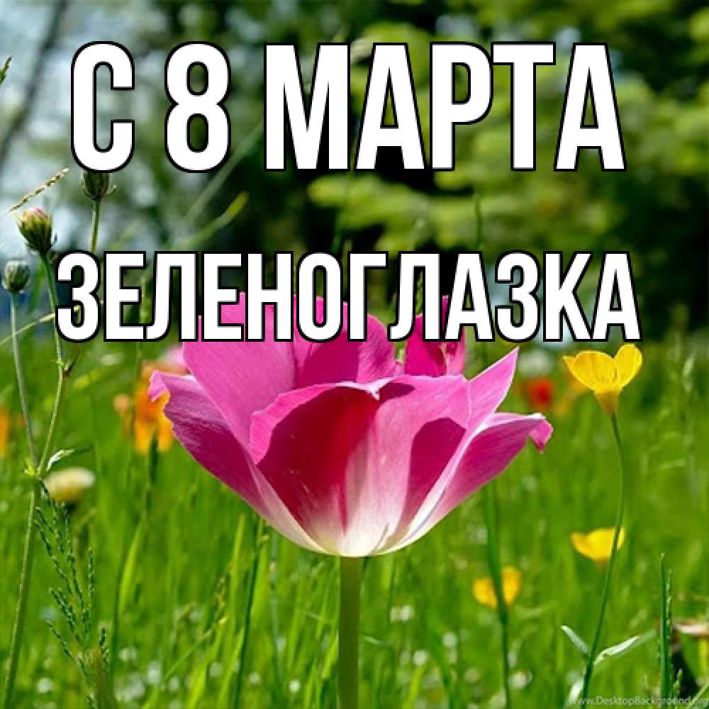 Открытка на каждый день с именем, зеленоглазка C 8 МАРТА полевые цветы Прикольная открытка с пожеланием онлайн скачать бесплатно 