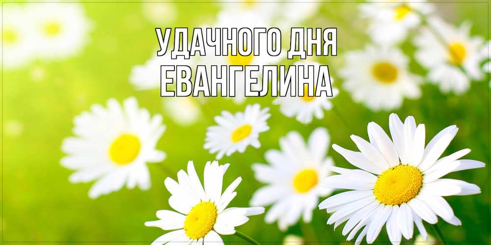 Открытка на каждый день с именем, Евангелина Удачного дня открытка с ромашками на зеленом фоне Прикольная открытка с пожеланием онлайн скачать бесплатно 