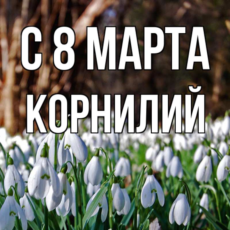 Картинка C 8 МАРТА, Корнилий