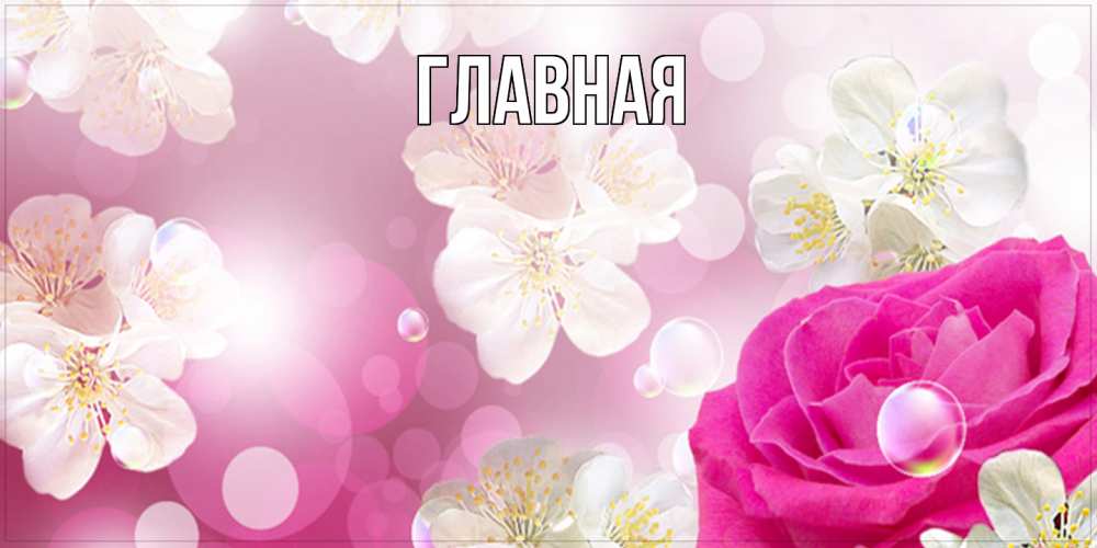 Открытка на каждый день с именем, настя Главная красивые цветы Прикольная открытка с пожеланием онлайн скачать бесплатно 