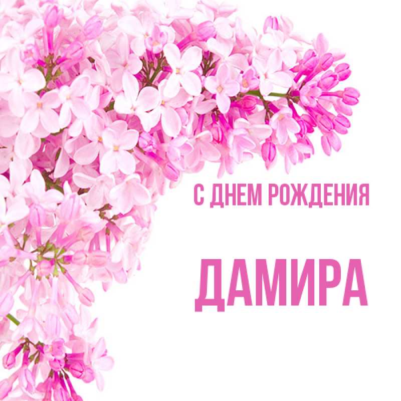Картинка С днем рождения, Дамира