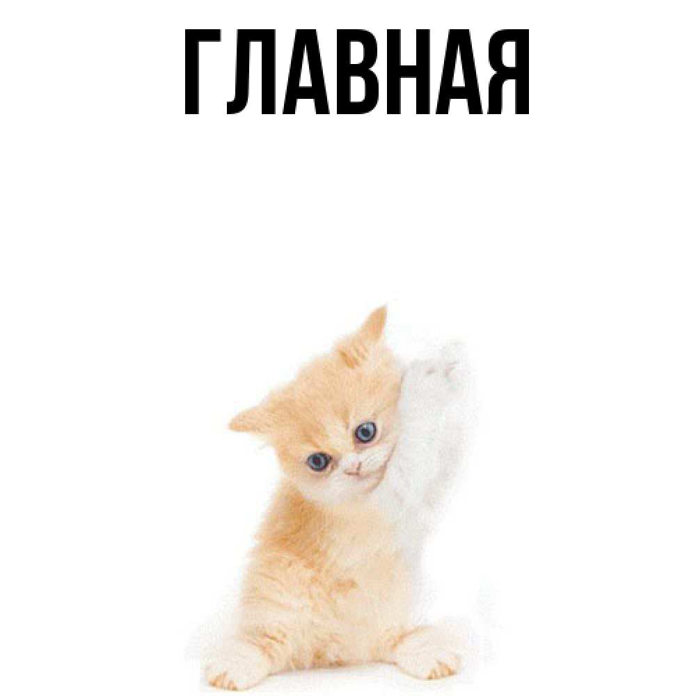 Открытка на каждый день с именем, настя Главная я хочу очень скорее обнимаешек Прикольная открытка с пожеланием онлайн скачать бесплатно 