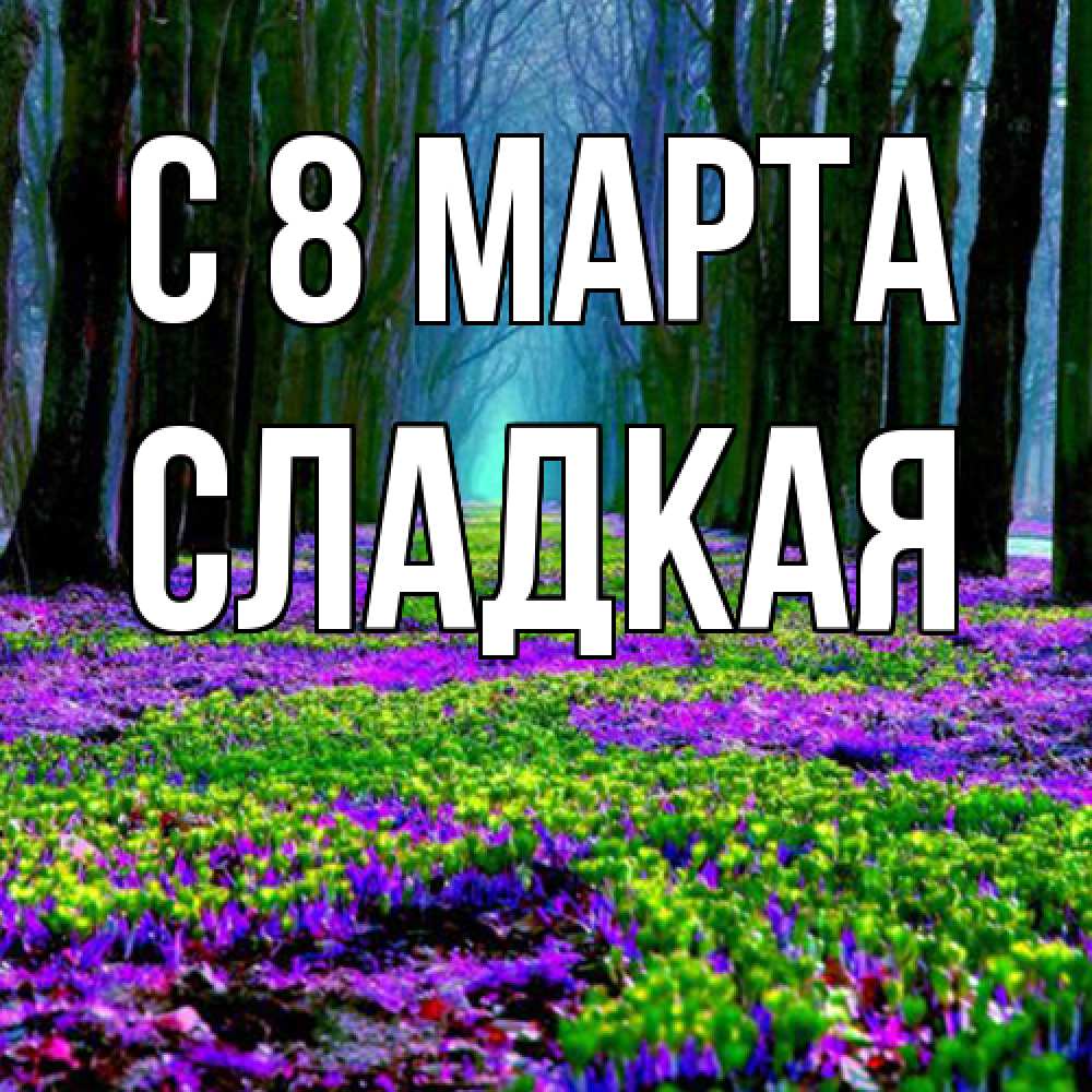 Открытка на каждый день с именем, сладкая C 8 МАРТА фиолетовые цветы в лесу 1 Прикольная открытка с пожеланием онлайн скачать бесплатно 