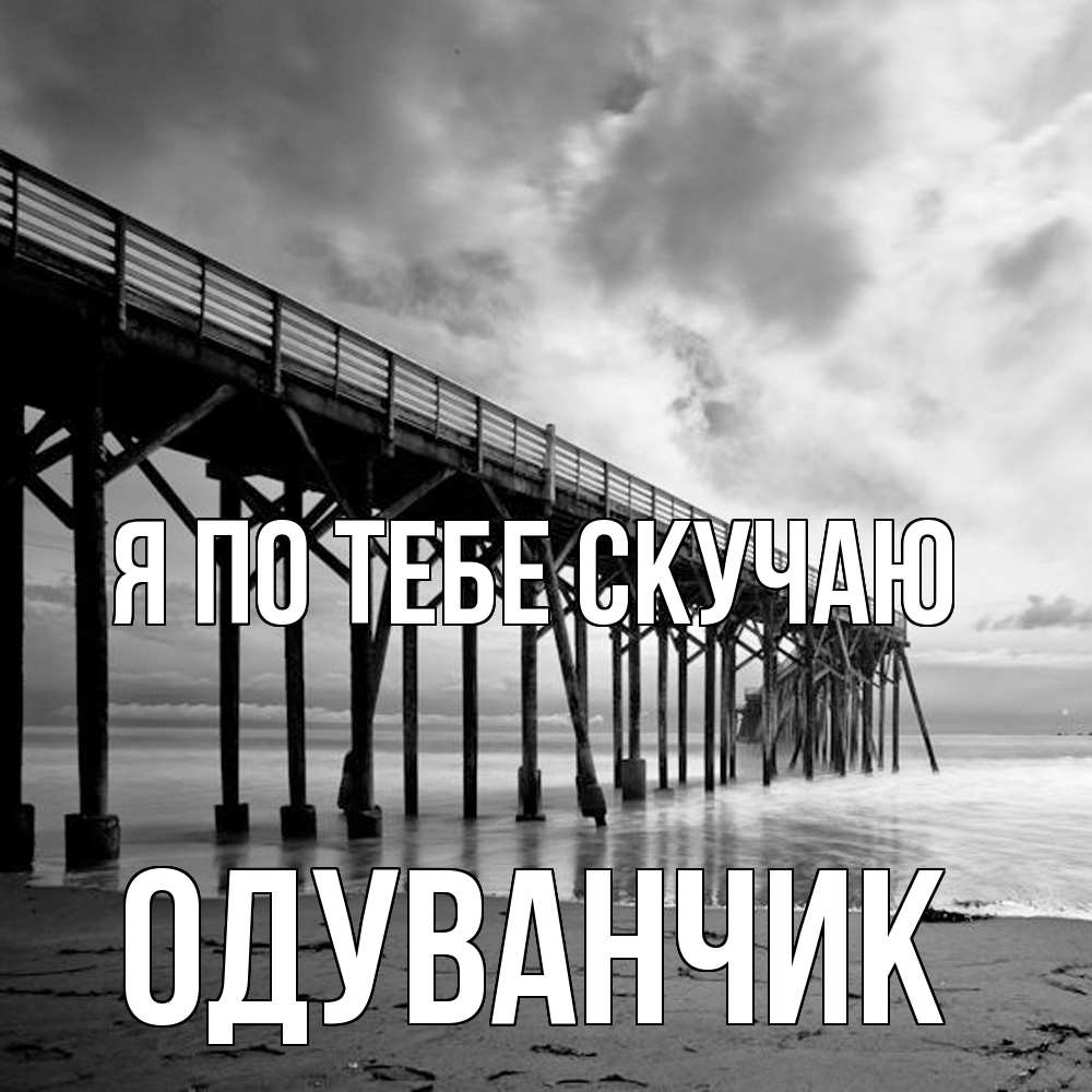 Открытка на каждый день с именем, Одуванчик Я по тебе скучаю старый Прикольная открытка с пожеланием онлайн скачать бесплатно 