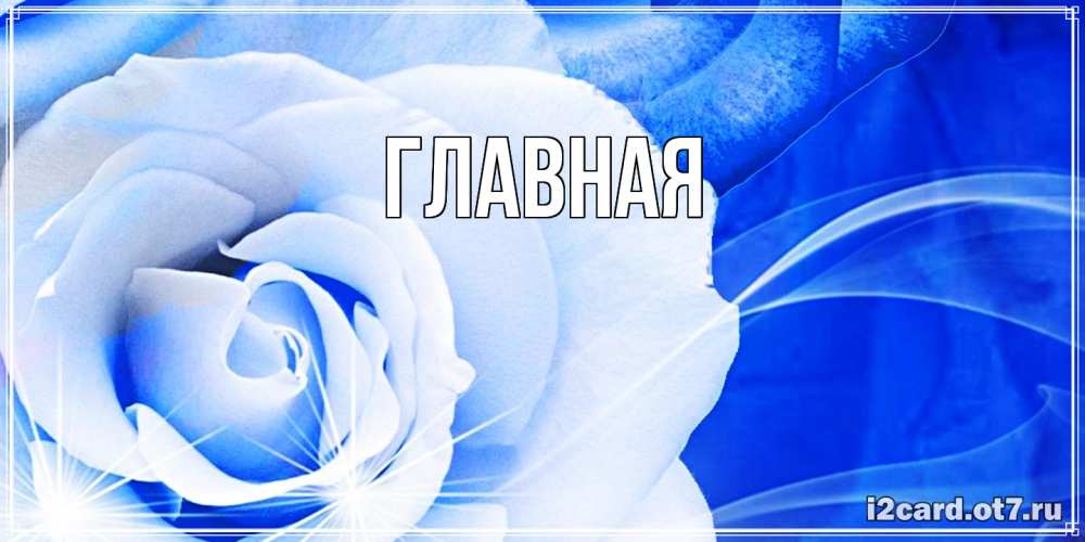 Открытка на каждый день с именем, настя Главная белая роза на голубом фоне Прикольная открытка с пожеланием онлайн скачать бесплатно 