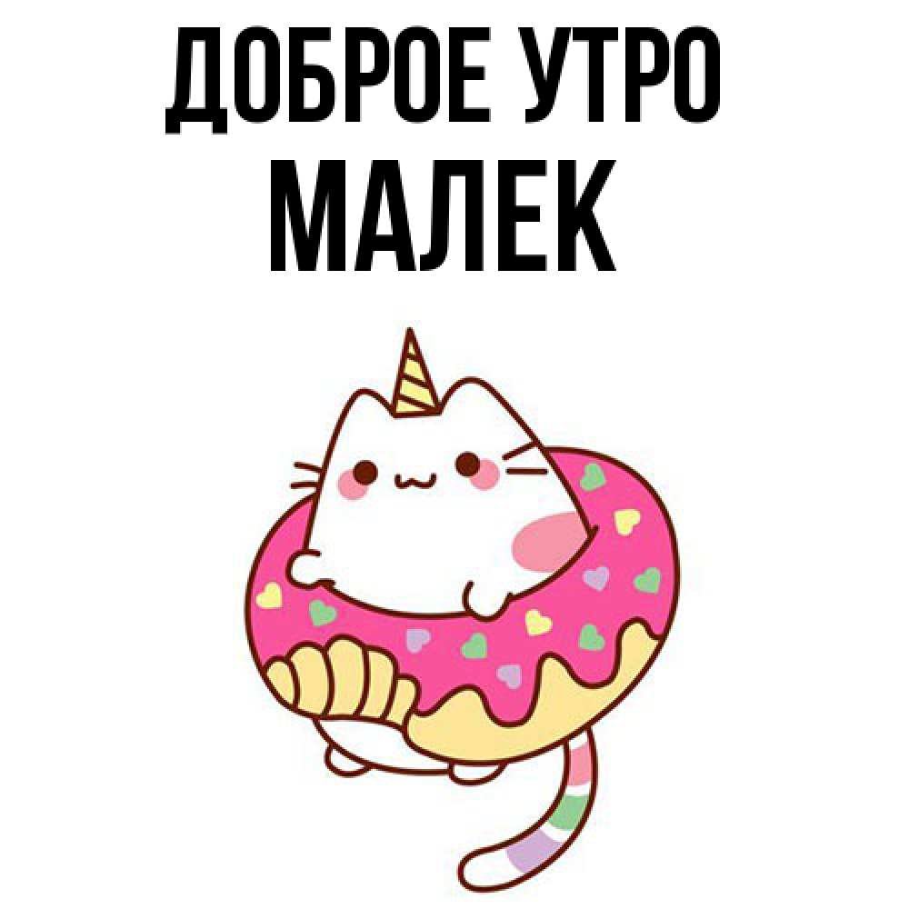 Открытка на каждый день с именем, Малек Доброе утро кот в бублике Прикольная открытка с пожеланием онлайн скачать бесплатно 