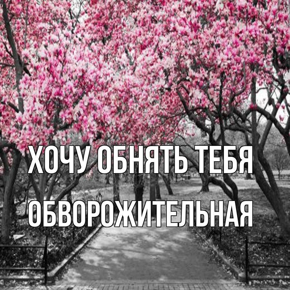 Открытка на каждый день с именем, обворожительная Хочу обнять тебя обработанное фото Прикольная открытка с пожеланием онлайн скачать бесплатно 