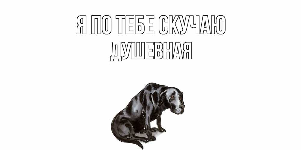 Открытка на каждый день с именем, Душевная Я по тебе скучаю я по тебе скучаю открытка с собакой Прикольная открытка с пожеланием онлайн скачать бесплатно 