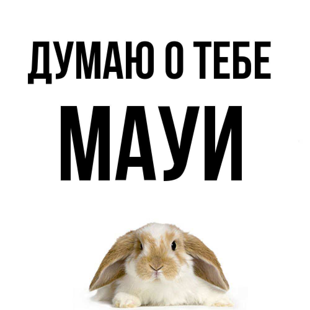 Открытка на каждый день с именем, Мауи Думаю о тебе подписать своими руками онлайн Прикольная открытка с пожеланием онлайн скачать бесплатно 