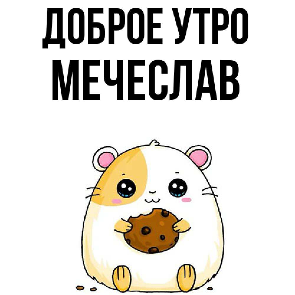 Открытка на каждый день с именем, Мечеслав Доброе утро есть печеньку. Утречко Прикольная открытка с пожеланием онлайн скачать бесплатно 