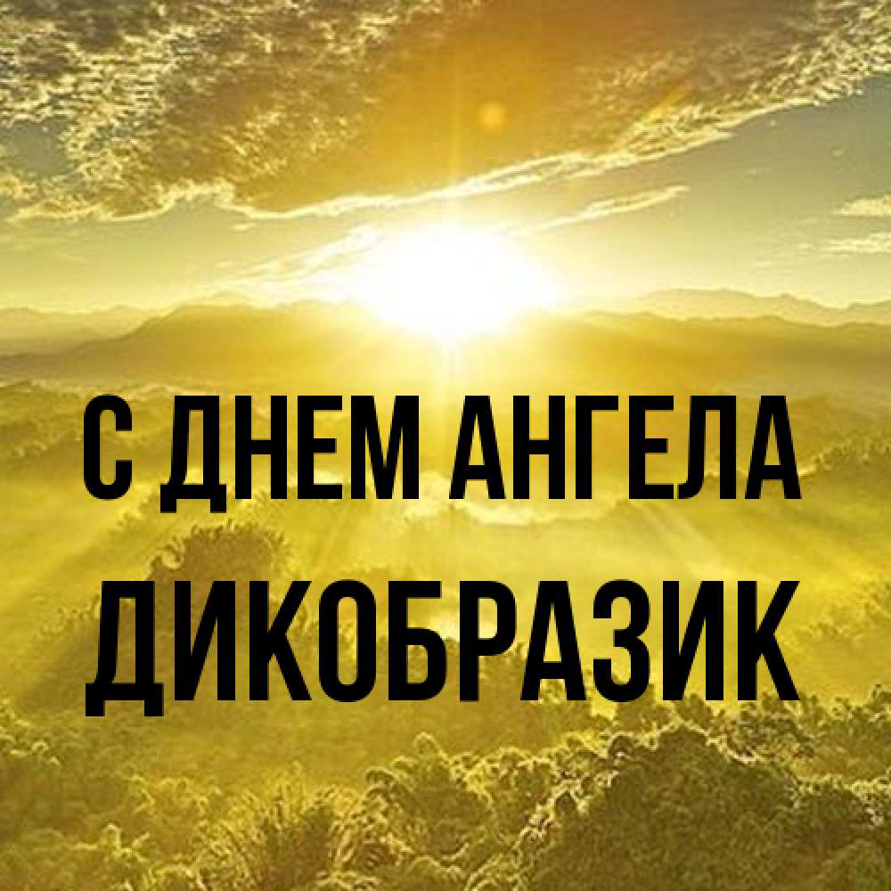 Открытка на каждый день с именем, дикобразик С днем ангела леса и небо в желтом Прикольная открытка с пожеланием онлайн скачать бесплатно 