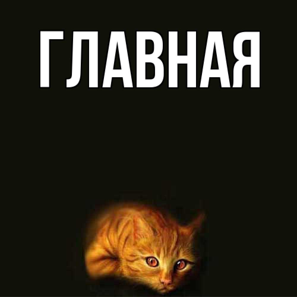 Открытка на каждый день с именем, Марьяна Главная лежащий кот в темноте Прикольная открытка с пожеланием онлайн скачать бесплатно 