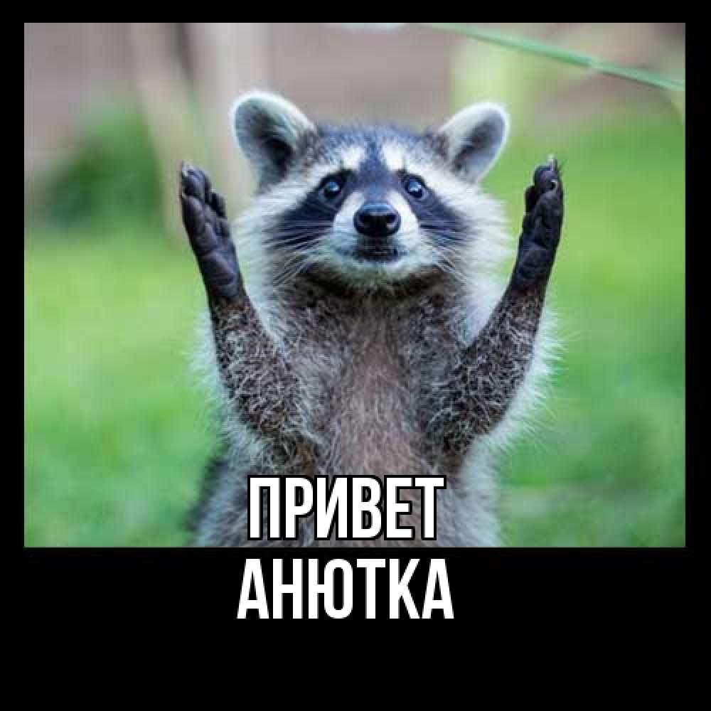 Открытка на каждый день с именем, Анютка Привет животные Прикольная открытка с пожеланием онлайн скачать бесплатно 