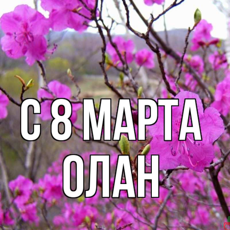 Картинка C 8 МАРТА, Олан