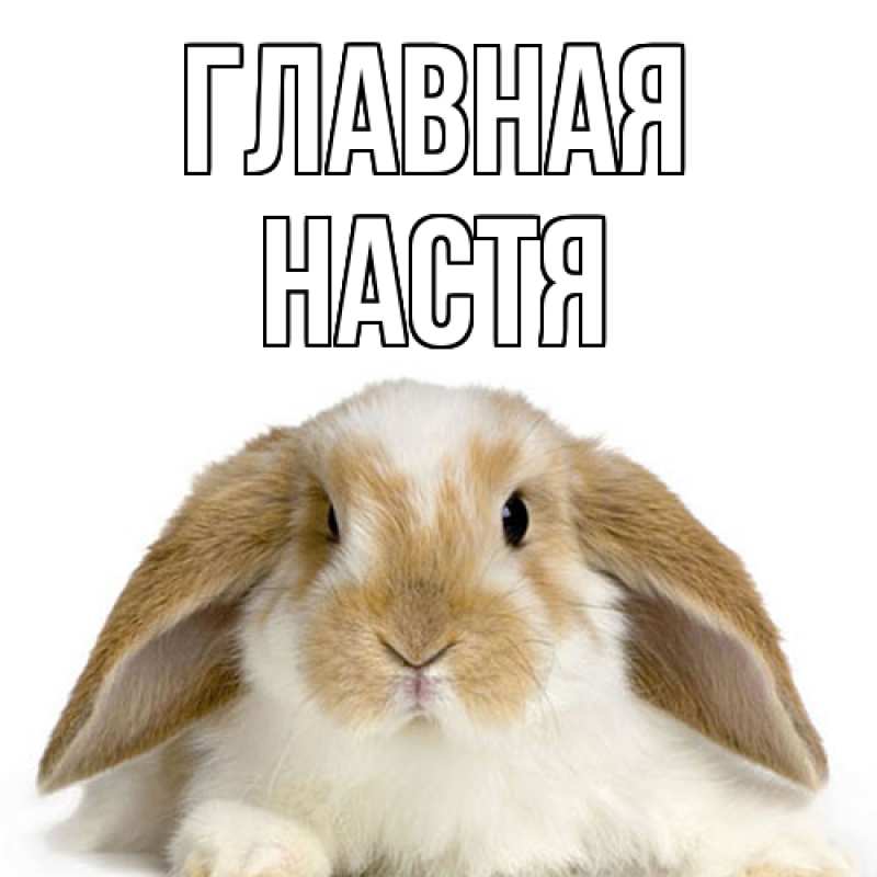 Картинка  с именем , настя