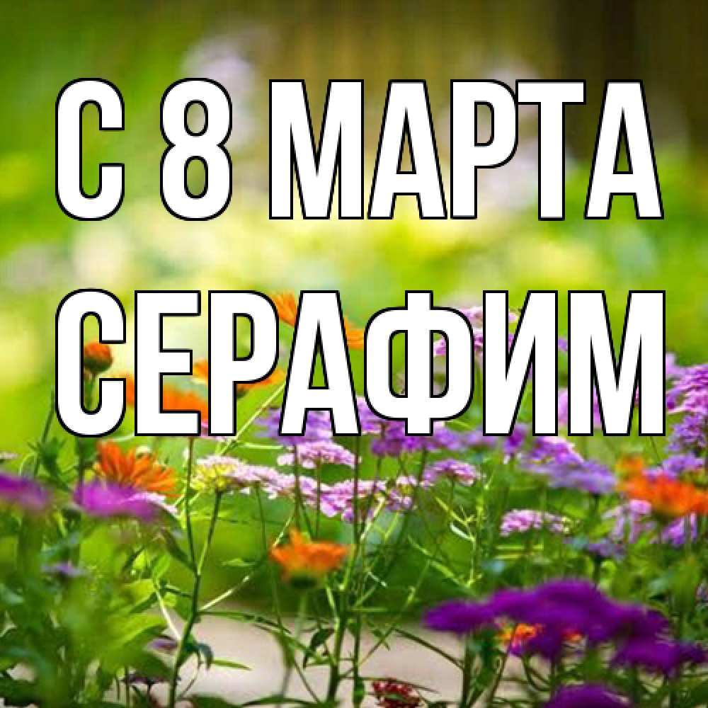 Открытка на каждый день с именем, Серафим C 8 МАРТА цветы Прикольная открытка с пожеланием онлайн скачать бесплатно 