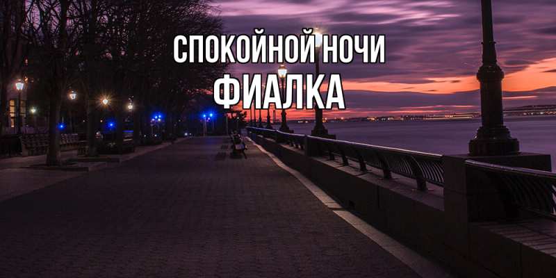 Картинка Спокойной ночи, Фиалка