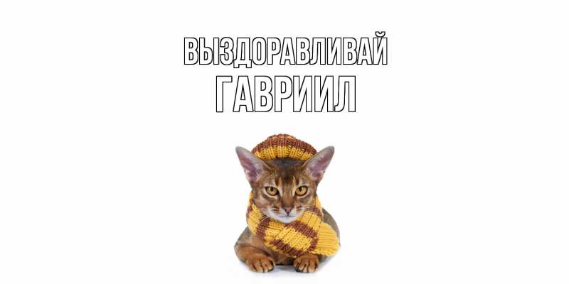 Картинка Выздоравливай, Гавриил