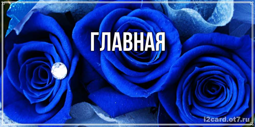 Открытка на каждый день с именем, настя Главная синие розы в росе Прикольная открытка с пожеланием онлайн скачать бесплатно 