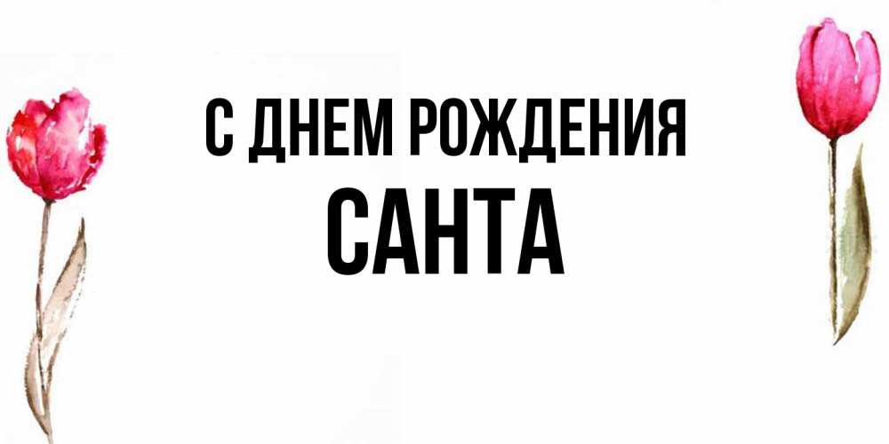 Открытка на каждый день с именем, Санта С днем рождения открытки акварелью с цветами Прикольная открытка с пожеланием онлайн скачать бесплатно 