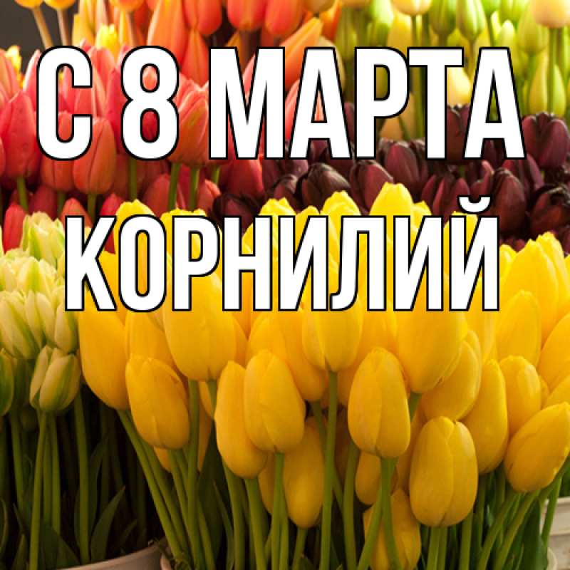 Картинка C 8 МАРТА, Корнилий