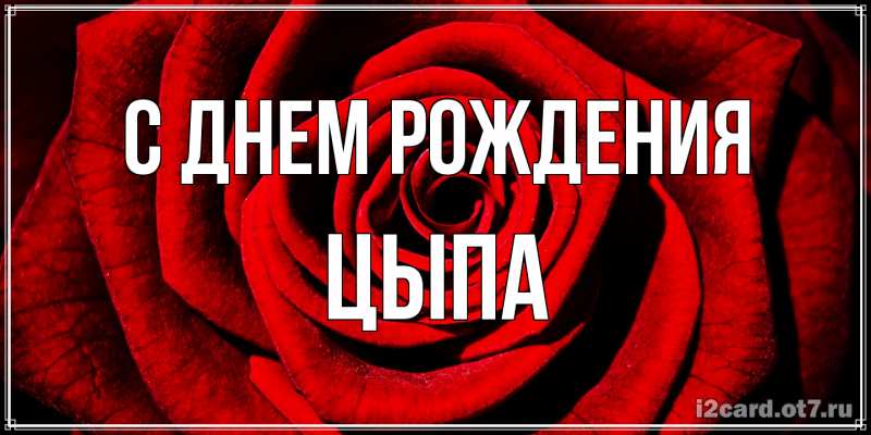 Картинка С днем рождения, Цыпа