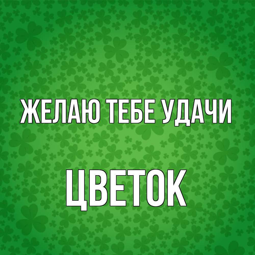 Открытка на каждый день с именем, Цветок Желаю тебе удачи много листочков на удачу Прикольная открытка с пожеланием онлайн скачать бесплатно 