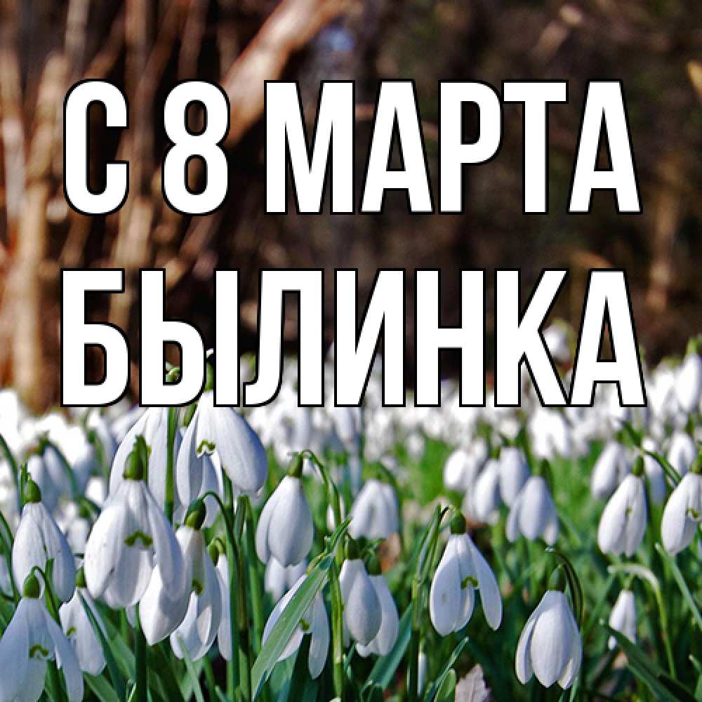 Открытка на каждый день с именем, былинка C 8 МАРТА с подснежниками 1 Прикольная открытка с пожеланием онлайн скачать бесплатно 