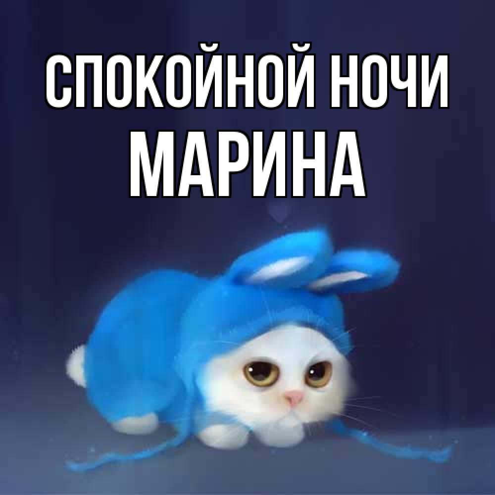 Открытка на каждый день с именем, Марина Спокойной ночи кот в голубом костюме кролика с ушками Прикольная открытка с пожеланием онлайн скачать бесплатно 
