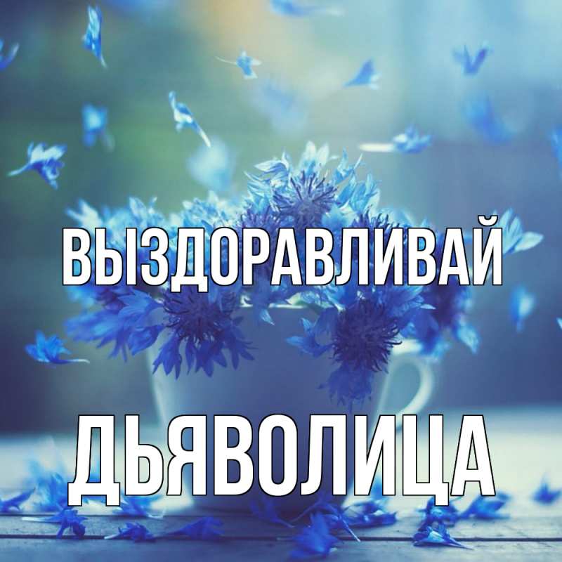 Картинка Выздоравливай, Дьяволица