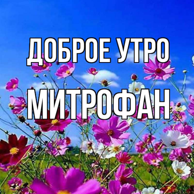 Картинка Доброе утро, Митрофан