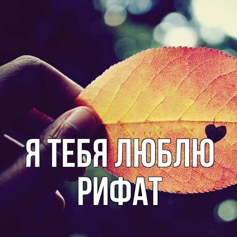 Картинка Я тебя люблю, Рифат