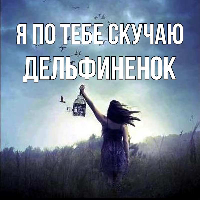 Картинка Я по тебе скучаю, дельфиненок